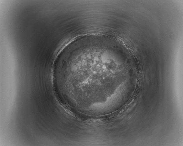 X0000112950194200908241349