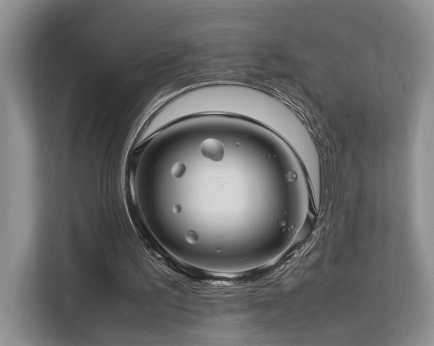 X0000112950195200908241349