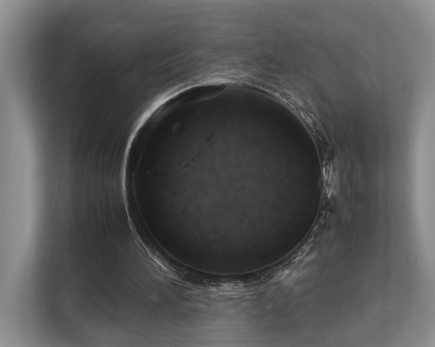 X0000112950196200908241349