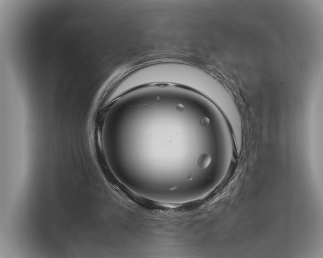 X0000112950197200908241349