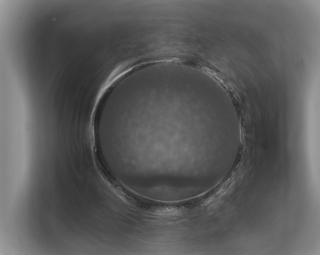 X0000112950198200908241349