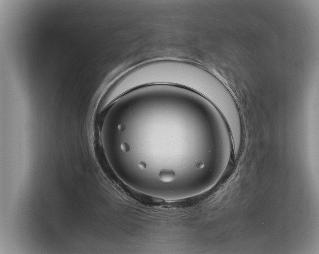 X0000112950199200908241349