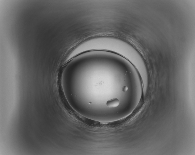 X0000112950201200908241349