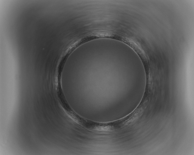 X0000112950202200908241349