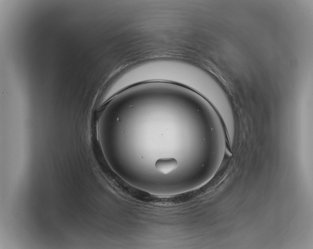 X0000112950203200908241349