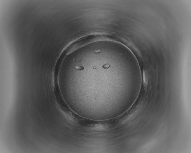 X0000112950204200908241349