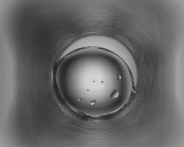 X0000112950205200908241349