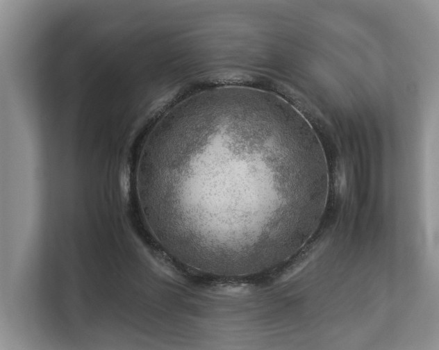 X0000112950206200908241349