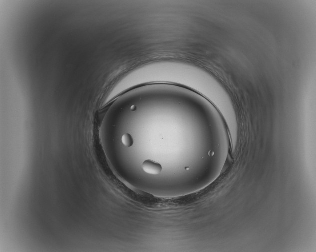 X0000112950207200908241349