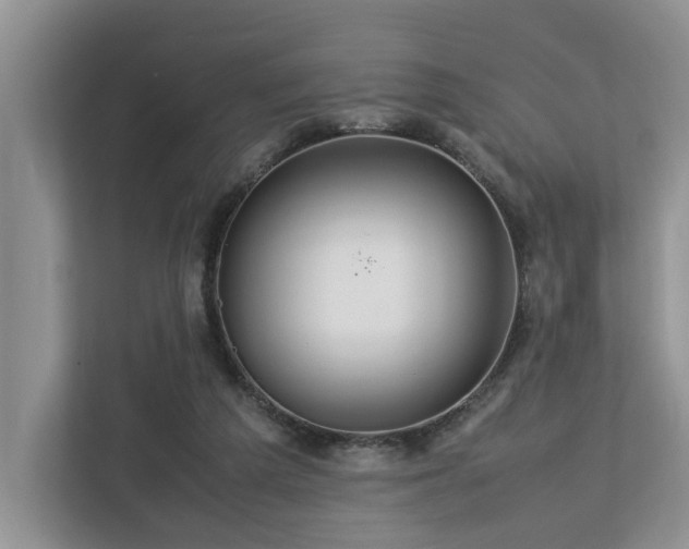 X0000112950209200908241349