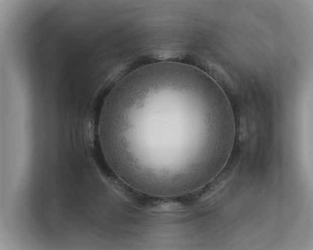 X0000112950210200908241349