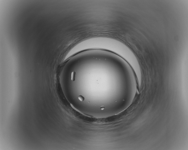 X0000112950211200908241349