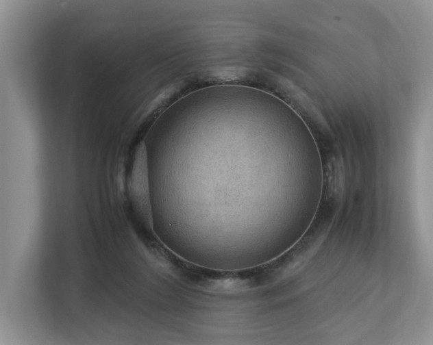 X0000112950212200908241349