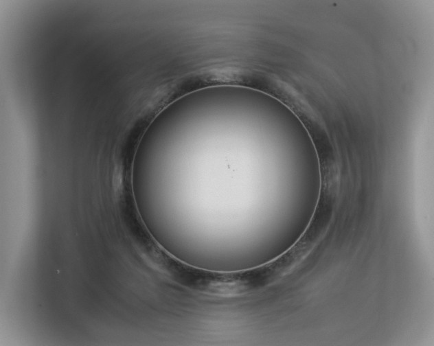 X0000112950213200908241349