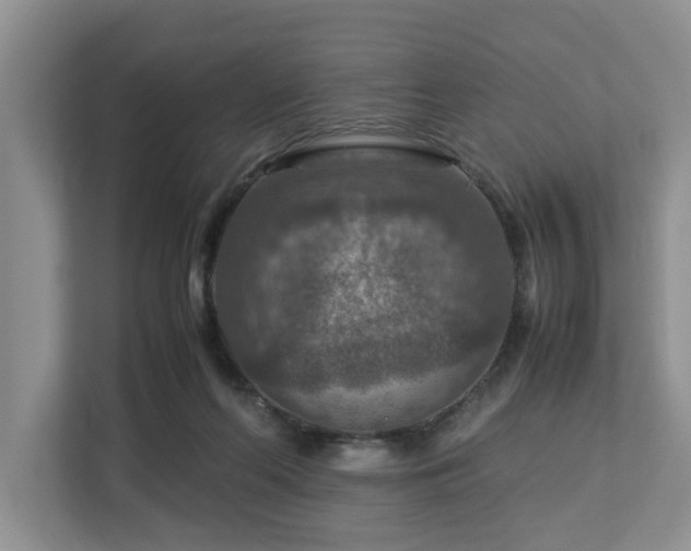 X0000112950214200908241349