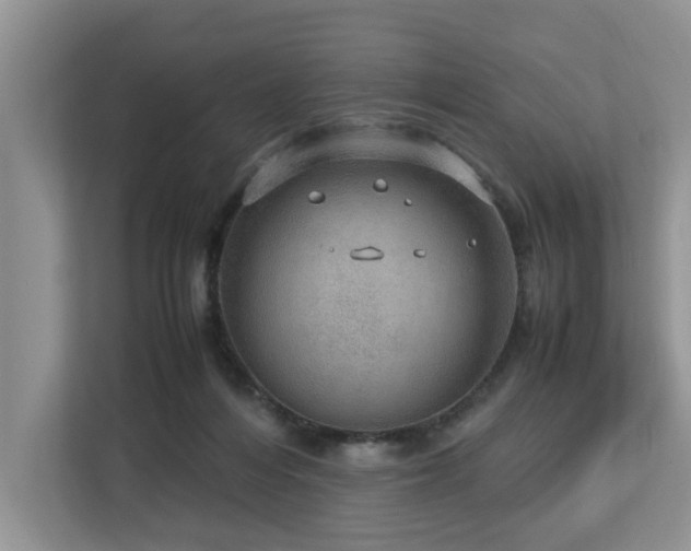 X0000112950216200908241349