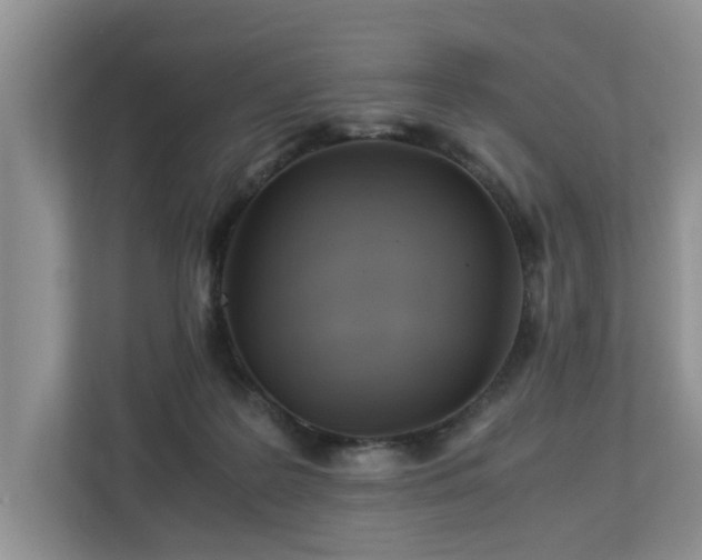 X0000112950219200908241349