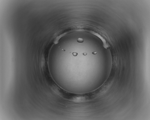 X0000112950220200908241349