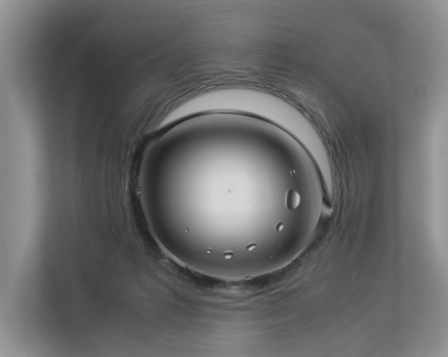 X0000112950221200908241349