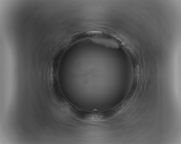 X0000112950223200908241349