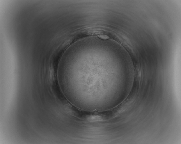 X0000112950224200908241349