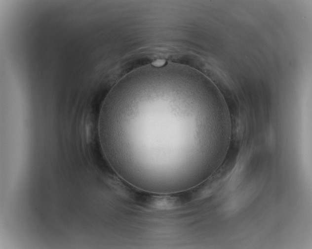 X0000112950226200908241349