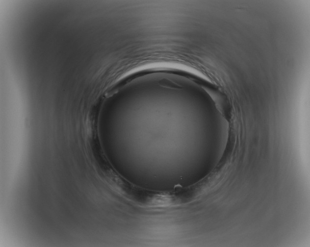 X0000112950227200908241349