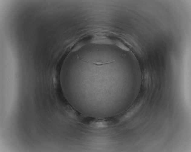 X0000112950228200908241349