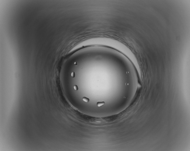 X0000112950229200908241349