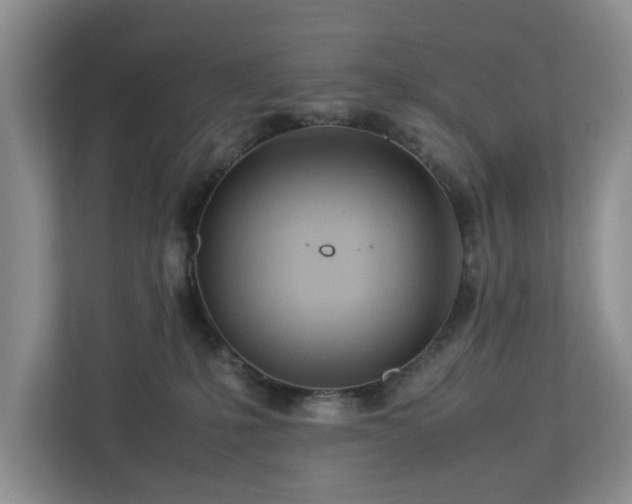 X0000112950231200908241349