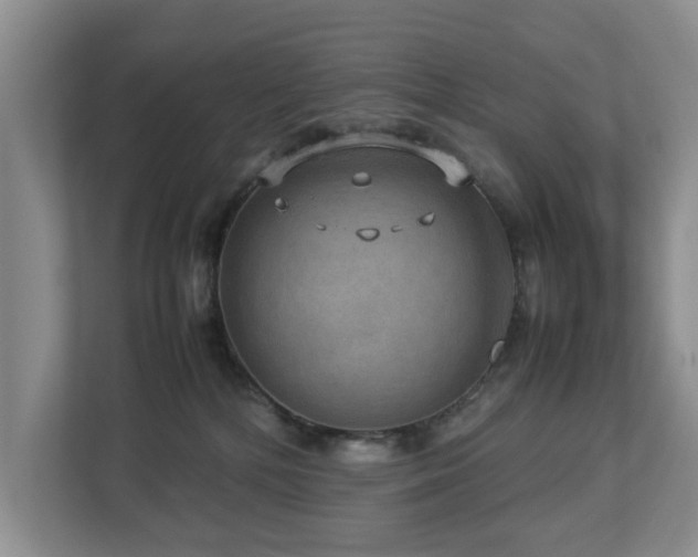 X0000112950232200908241349