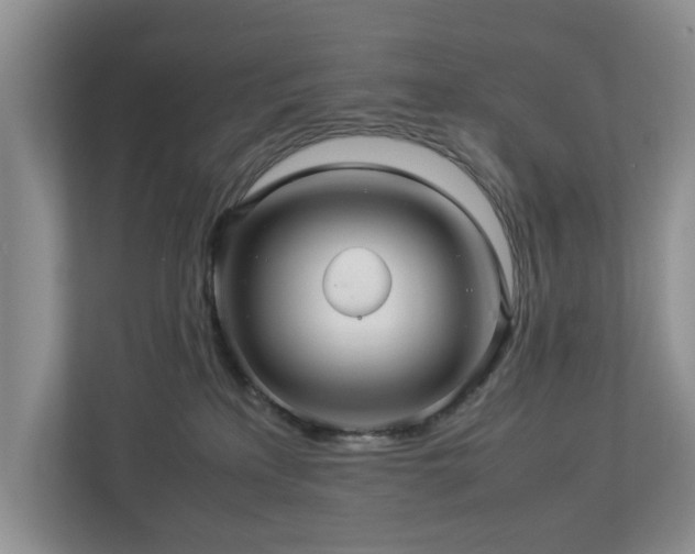 X0000112950233200908241349