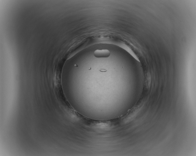 X0000112950236200908241349