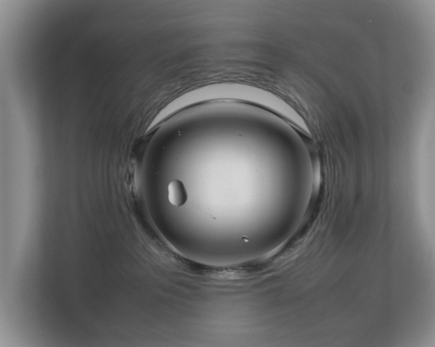 X0000112950237200908241349