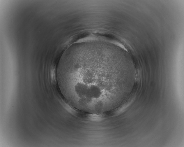 X0000112950238200908241349