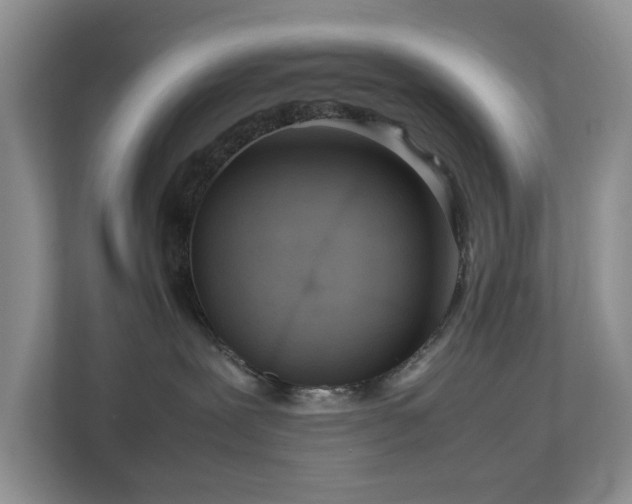 X0000112950239200908241349