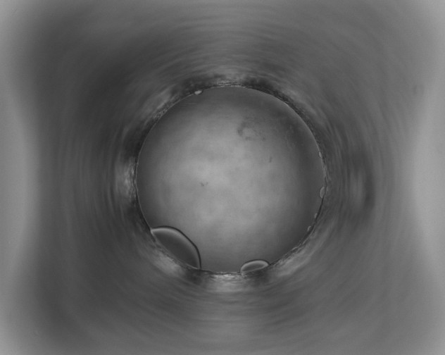 X0000112950240200908241349