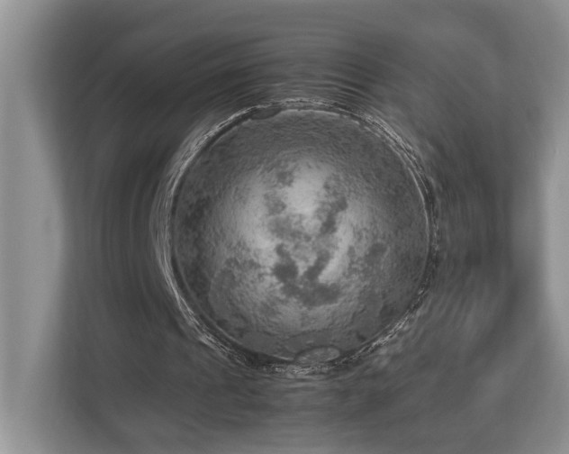 X0000112950241200908241348