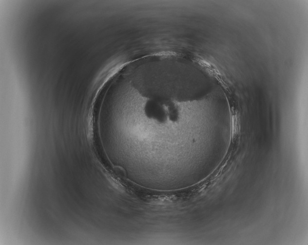 X0000112950243200908241348