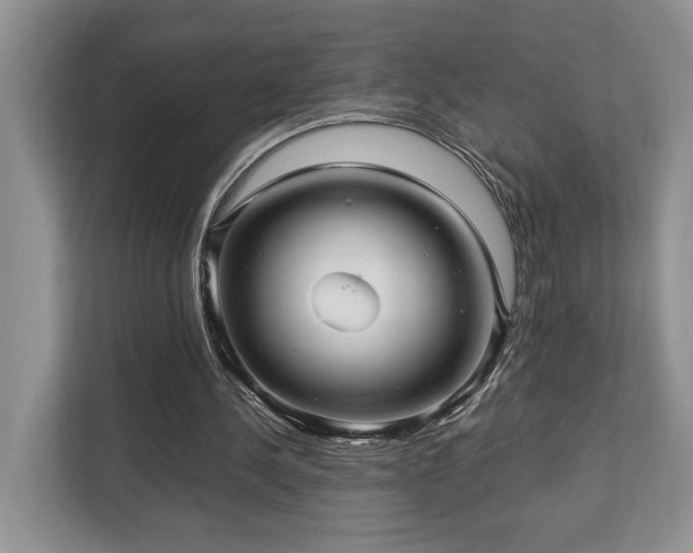 X0000112950244200908241348