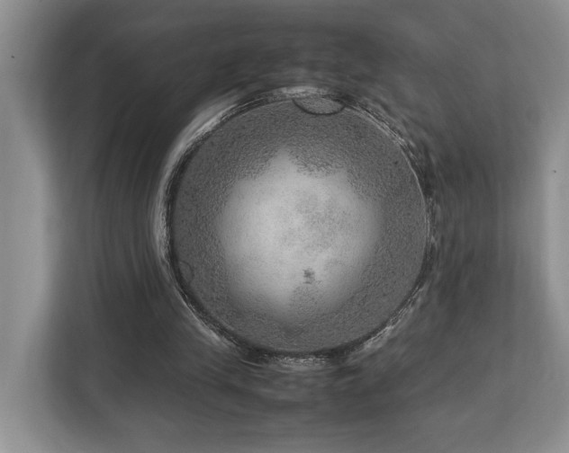 X0000112950245200908241348