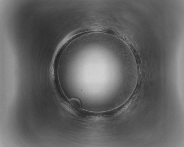 X0000112950246200908241348