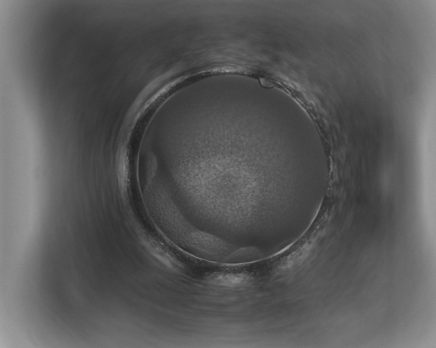 X0000112950247200908241348