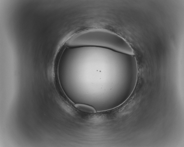 X0000112950248200908241348