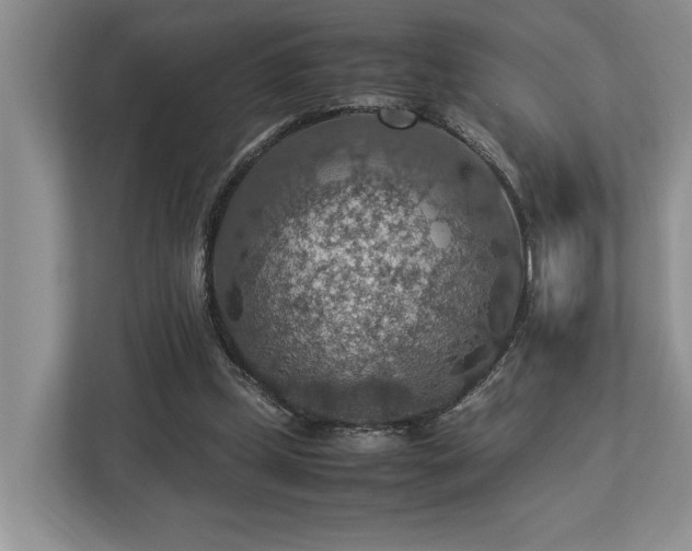 X0000112950249200908241348