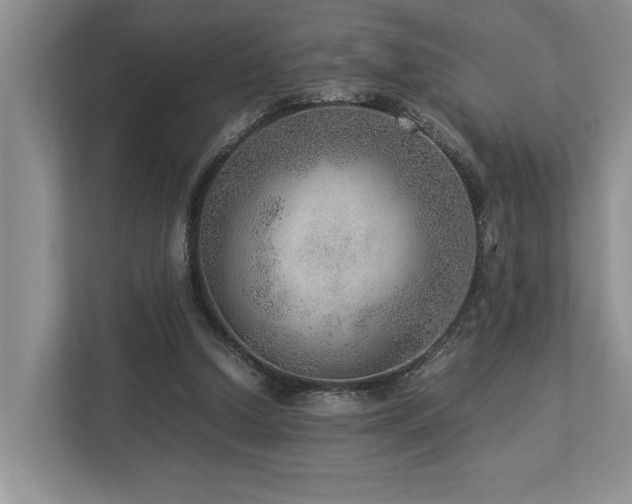 X0000112950250200908241348