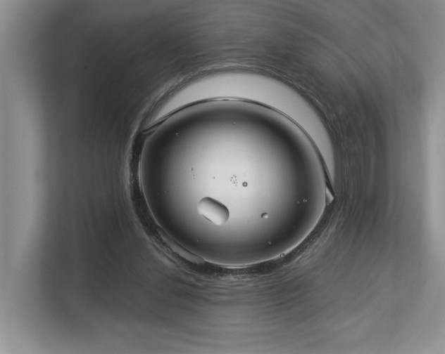 X0000112950252200908241348