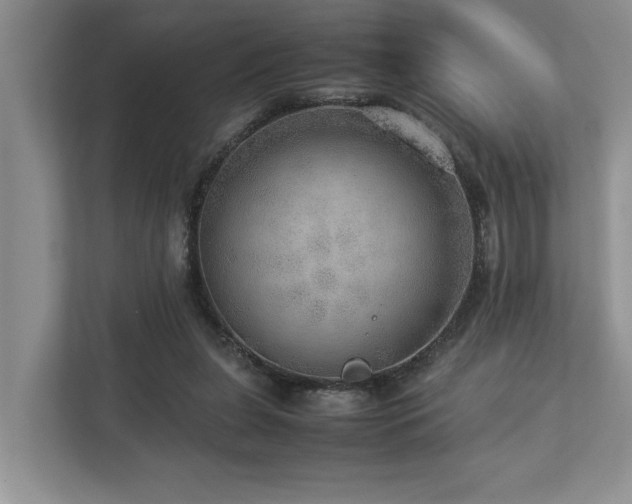 X0000112950255200908241348