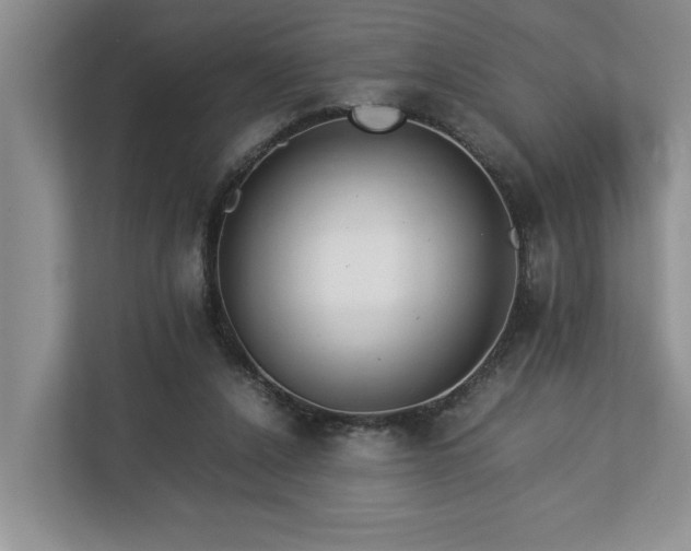 X0000112950256200908241348