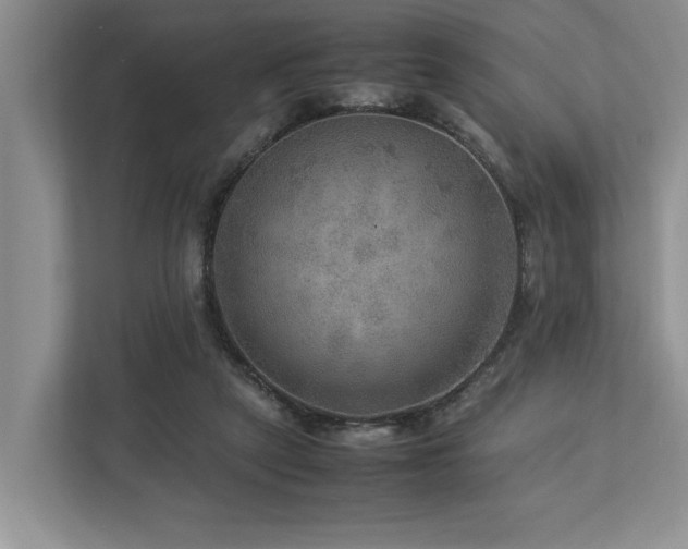 X0000112950257200908241348